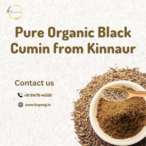 Pure Organic Black Cumin From Kinnaur